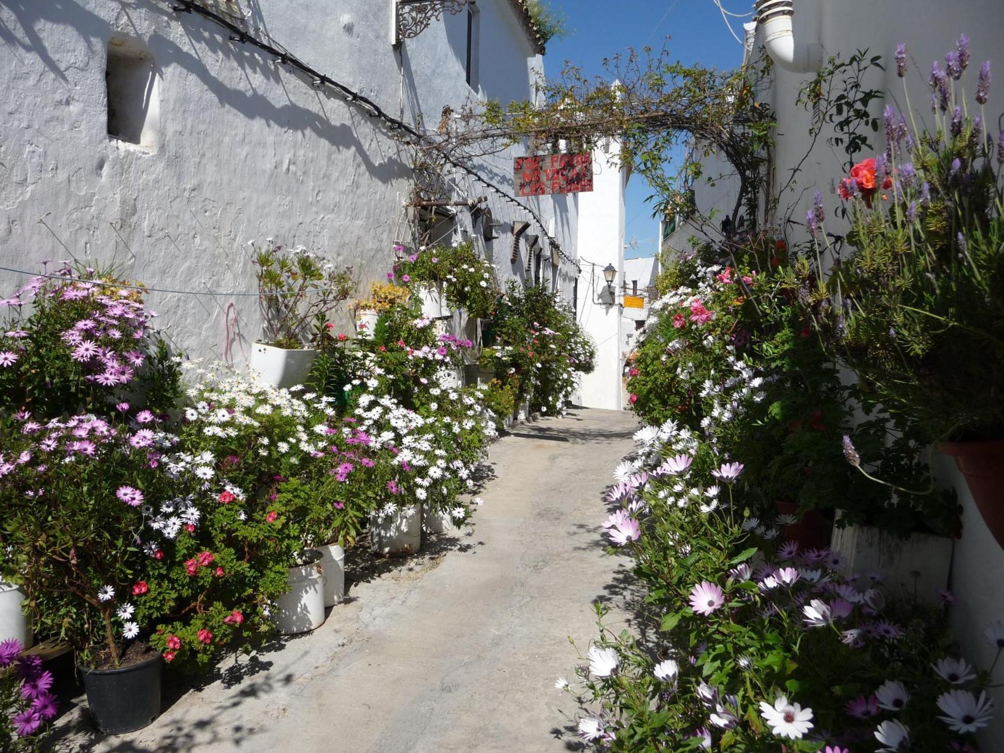 Vivienda Turistica De Alojamiento Rural Silla Vieja Vejer de la Frontera Eksteriør bilde